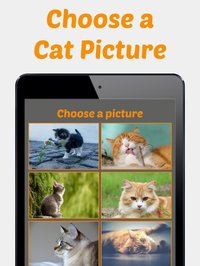 Cute Kitten Photos Puzzle screenshot, image №2190584 - RAWG