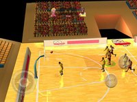 3D Basketball International Championship screenshot, image №976863 - RAWG