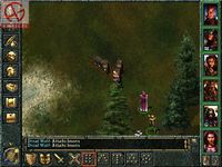 Baldur's Gate: Tales of the Sword Coast screenshot, image №313010 - RAWG