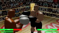 Teck Boxing 3D screenshot, image №1660230 - RAWG