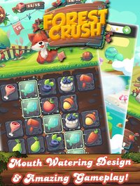 Forest Fruit Crush - Delicious Candy Line & Jelly screenshot, image №1854666 - RAWG
