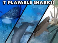 Ultimate Shark Simulator screenshot, image №954981 - RAWG