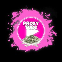 ProxyTube screenshot, image №2797982 - RAWG