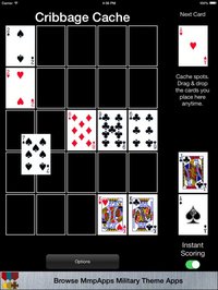 Cribbage Square Collection screenshot, image №2132037 - RAWG