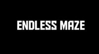 Endless Maze v2 screenshot, image №1251777 - RAWG