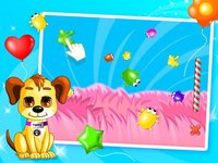 Pet's Birthday Party screenshot, image №958701 - RAWG