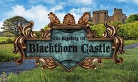 The Mystery of Blackthorn Castle screenshot, image №1537050 - RAWG