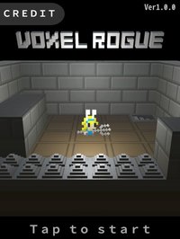 VoxelRogue screenshot, image №1694263 - RAWG