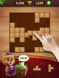 Block Puzzle Wood screenshot, image №903348 - RAWG