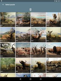 Jigsaw Puzzle: Animals screenshot, image №1497946 - RAWG