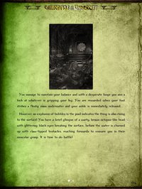 Gamebook Adventures 5: Catacombs of the Undercity screenshot, image №951820 - RAWG