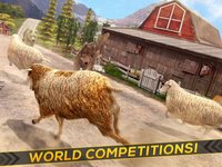Sheep Racing Adventure in The Tiny Virtual Pet Town screenshot, image №871939 - RAWG