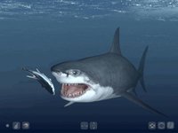 Talking Great White HD - for iPad screenshot, image №967997 - RAWG