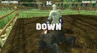 KONG FU screenshot, image №4163872 - RAWG
