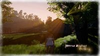 Horse Riding Deluxe screenshot, image №716043 - RAWG