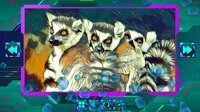 Twizzle Puzzle: Animals screenshot, image №3988169 - RAWG