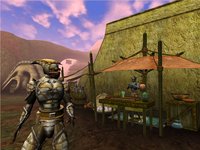 The Elder Scrolls III: Morrowind screenshot, image №290008 - RAWG