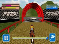 Horse Riding Adventure Hero 3D screenshot, image №1603957 - RAWG