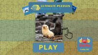 Ultimate Puzzles Marine Life 3 screenshot, image №3254596 - RAWG