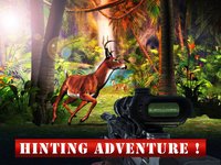 2016 Asian Deer Hunting: Play Pefect Shooting Free screenshot, image №1734861 - RAWG