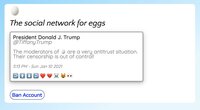 You Have to Ban the President screenshot, image №2672433 - RAWG