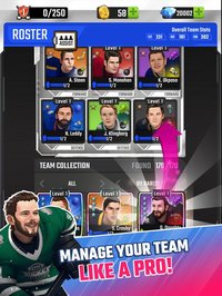 Puzzle Hockey screenshot, image №2195101 - RAWG