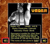 WCW SuperBrawl Wrestling screenshot, image №763245 - RAWG