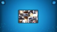 PUZZLE: CATS & DOGS screenshot, image №850715 - RAWG