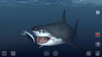 Talking Great White: My Pet Shark PRO screenshot, image №967961 - RAWG