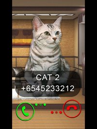 Fake Video Call Cat screenshot, image №871560 - RAWG