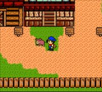 Harvest Moon 3 GBC (2000) screenshot, image №806558 - RAWG