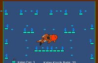 koi balıgını yen screenshot, image №3561799 - RAWG