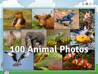 Animal Slide Image Puzzle screenshot, image №951619 - RAWG