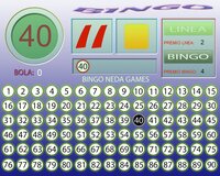 Bingo en Casa screenshot, image №3713107 - RAWG