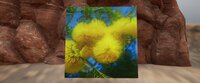 Sweet Thorn Acacia screenshot, image №3504546 - RAWG