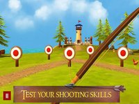 Hit Bow Cup:Archery Master 3D screenshot, image №1854190 - RAWG