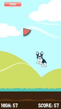 Watermelon Catch! screenshot, image №2677363 - RAWG