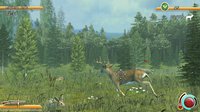 Deer Hunt Legends screenshot, image №199263 - RAWG