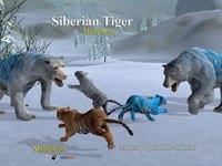 Tiger Multiplayer - Siberia screenshot, image №973964 - RAWG