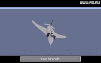 Dogfight: 80 Years of Aerial Warfare screenshot, image №294080 - RAWG