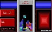 Tiny Tetris screenshot, image №339267 - RAWG