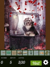 Hidden Object - Be Mine screenshot, image №1682178 - RAWG