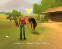 Petz Horse Club screenshot, image №505976 - RAWG