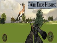 Deer Hunting Challenge: Forest Sniper Shooter screenshot, image №1684760 - RAWG