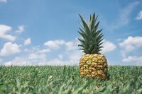 Pineapple Jamm! screenshot, image №3642002 - RAWG