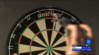 PDC World Championship Darts: Pro Tour screenshot, image №555218 - RAWG