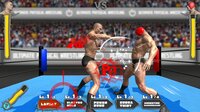 Ultimate Physical Wrestling screenshot, image №2985863 - RAWG
