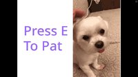 Press E To Pat screenshot, image №2269694 - RAWG