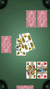 Fat Card screenshot, image №2710228 - RAWG
