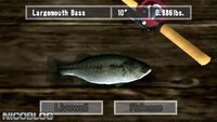 Reel Fishing: The Great Outdoors screenshot, image №3881321 - RAWG